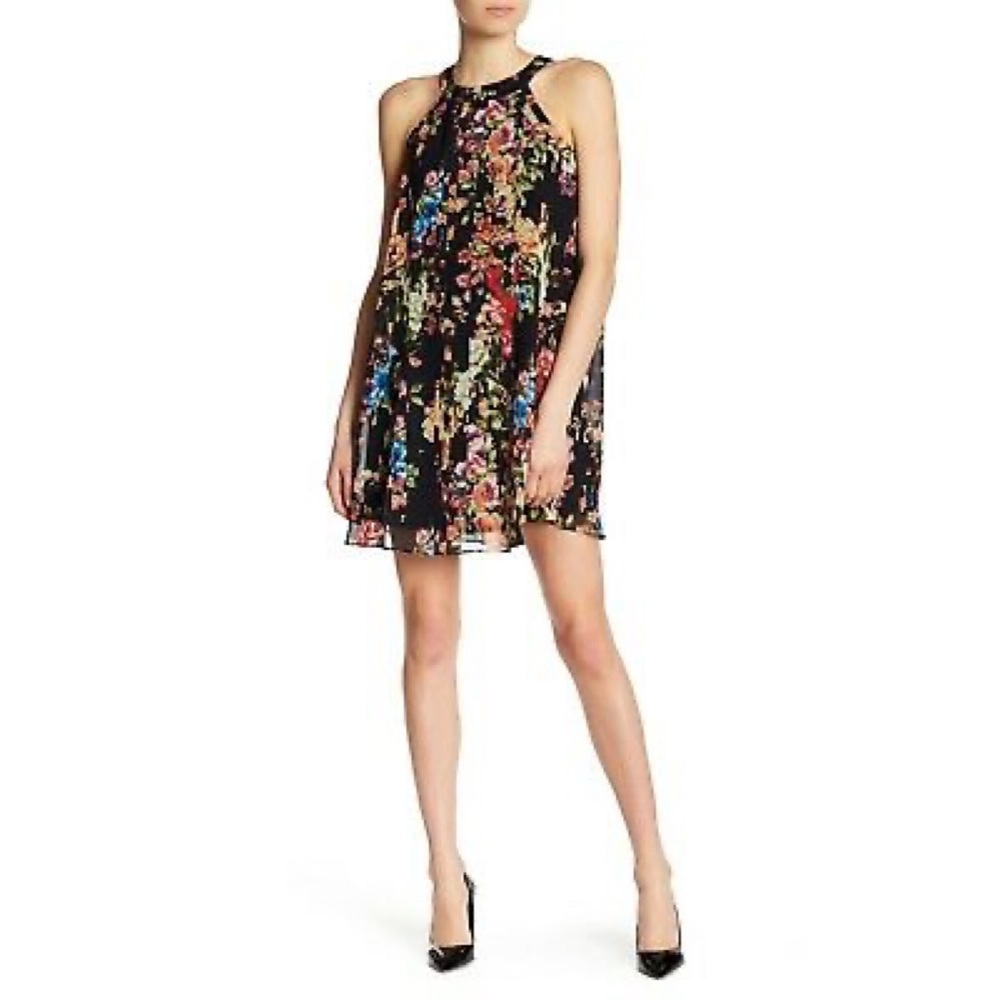 Betsy Johnson Sleeveless Floral Trapeze Dress